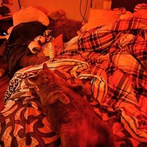 Meet your Posher, Noah